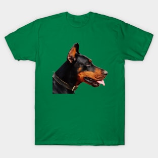 Doberman Pinscher Real life Portrait T-Shirt